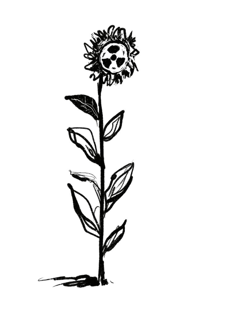 Solros radioaktiv av Jonas Wilén